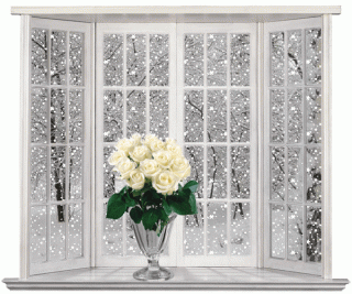 belye-rozy-v-vaze-na-podokonnike