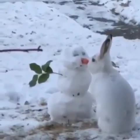 radioluxfm-___CJJUZtLFN2Z___-