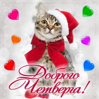 marinabazheno-___CJLmzball6H___-