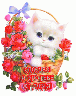 spasibo-a-eto-tebe-ot-menya