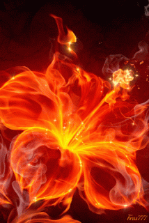 19113d7457c42ee18b1eb1c57eb4d118