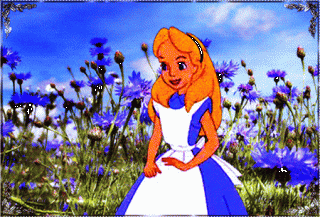 blagodaryu-vasilek-cyanus