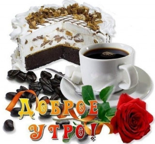 M9iPRwbsEis