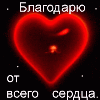 blagodaryu-ot-vsego-serdca