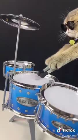 cutepets_clan-___CJOvLO2pMAi___-