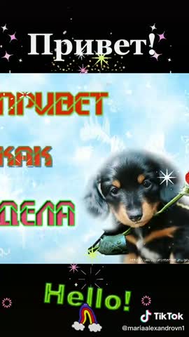 ecf28d346bb9b8cf5ba36de362ea9111