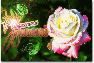 s-uvazheniem-i-blagodarnostyu