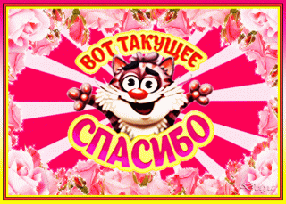 vot-takoe-spasibo22