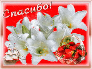 spasibo22