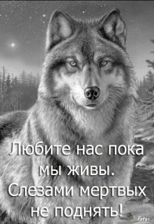 ЛЮБИТЕ___