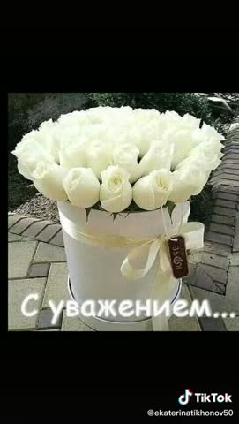 Prekrasnym_damam-_im