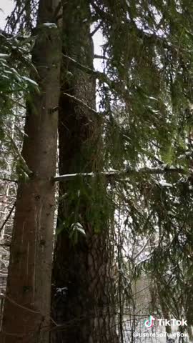 e18b4e5eae35fe3ced33832fdab0187f