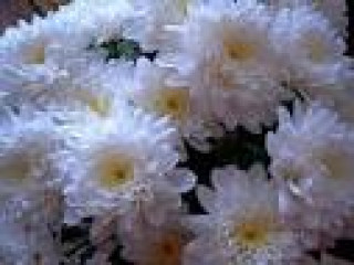 images-20