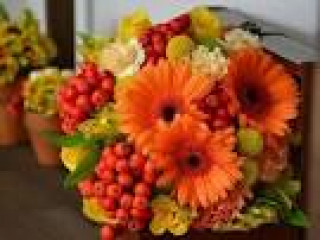 images-19
