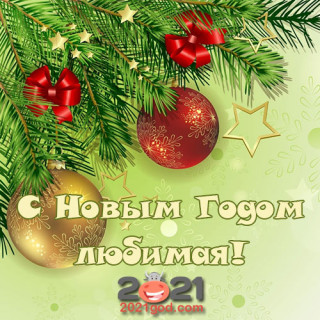 sms-s-novym-2021-godom-44