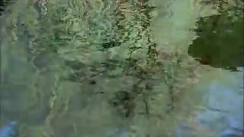 _Redko_my_slywim_takuyu_mu