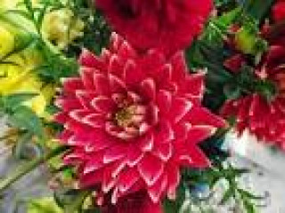images-11