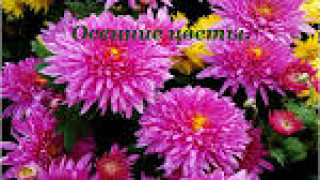 images-9