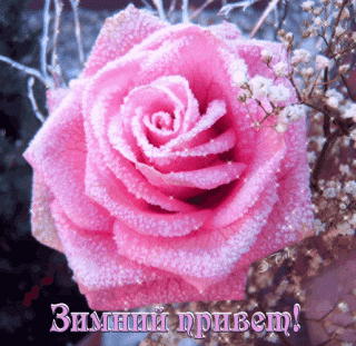 анимированная_открытка_зимний_привет-2