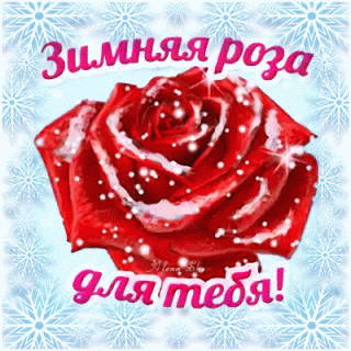 анимированная_открытка_зимняя_роза_для