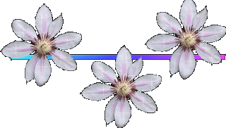 Barra20separadora206