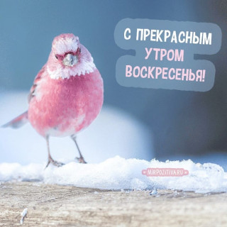 vasilijkravcenko45-___CJk64Q2Fo4S___-