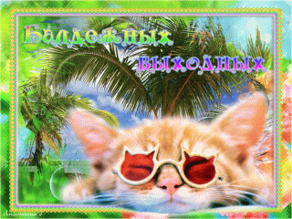 179646396_1ed7ac9898d1bcb929a4945ece7acfe7_800