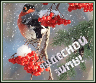 Чудесной-зимы