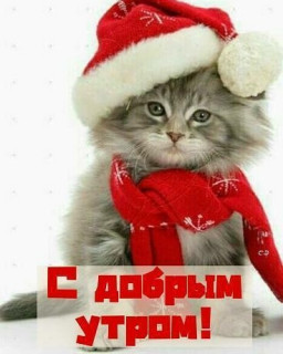 valentina_zayceva66-___CJp5EQwHeTl___-