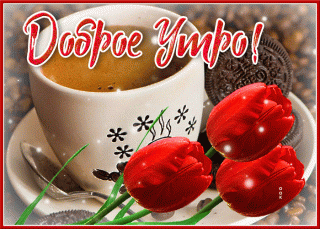 otkrytka-dobroe-utro-s-tyulpanami-70538_1