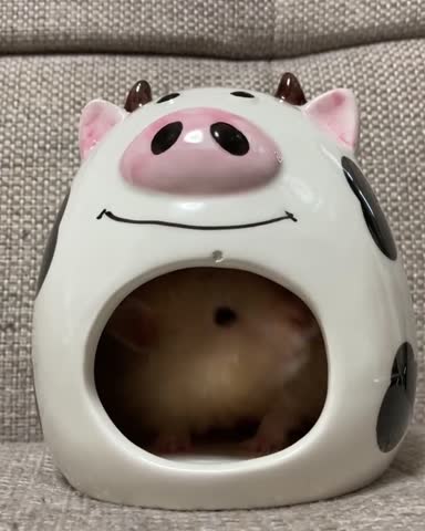 jan_hime_denmn-___CJyO-AOgw18___-7
