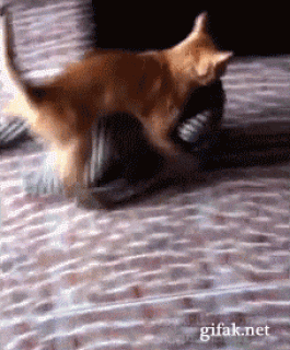 1366727938_1298908109