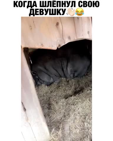 Оооо даааа