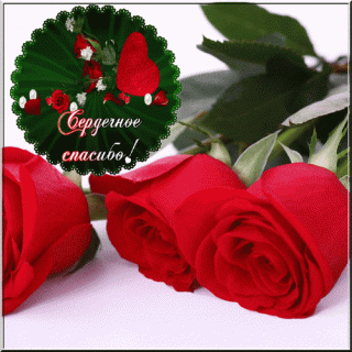 serdechnoe-spasibo_3