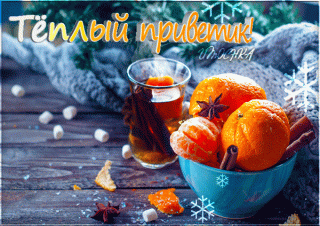 Теплыйпривет