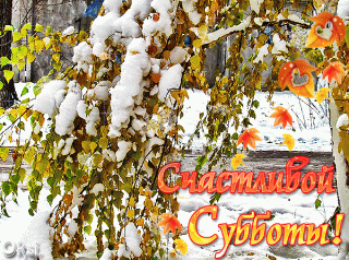 Счастливойсубботы