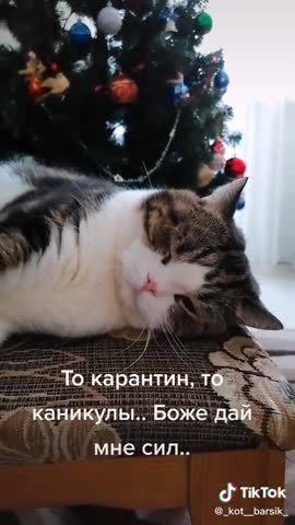 Устал_от_праздников