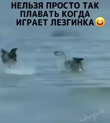 TANCUJuT_VSE_LOW-_im