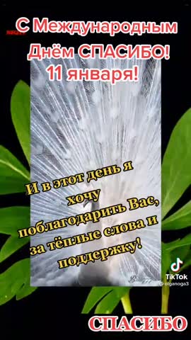 VID-20210111-WA0022