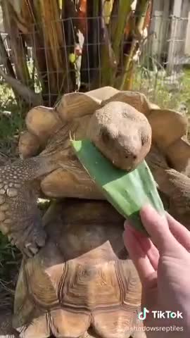 VID_20210111_154022_399