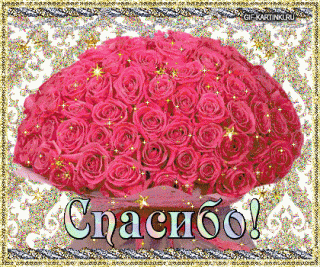 spasibo026