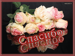 spasibo-spasibo-cvety