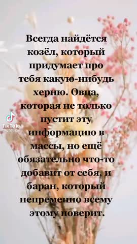 23aa84cafbe4498cde79dd8af6fa256d