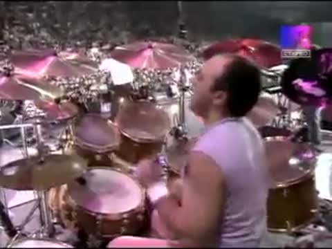 Земфира-медведица