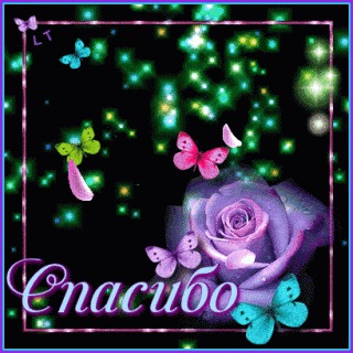 spasibo-spasibo-bolshoe-za-vnimanie