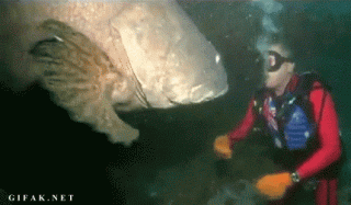 a4cf13d5b100a27c11f723bd37ccaa44