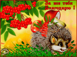 za-vse-tebya-blagodaryu_2