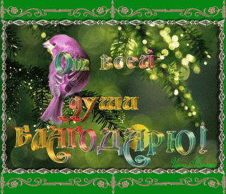 ot-vsej-dushi-blagodaryu