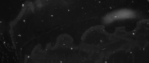 Vladimir_Presnjakov_Sneg-_im