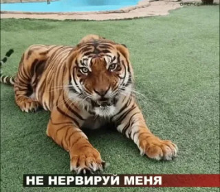 Не